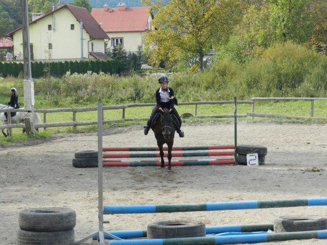 Babie Lato 2016